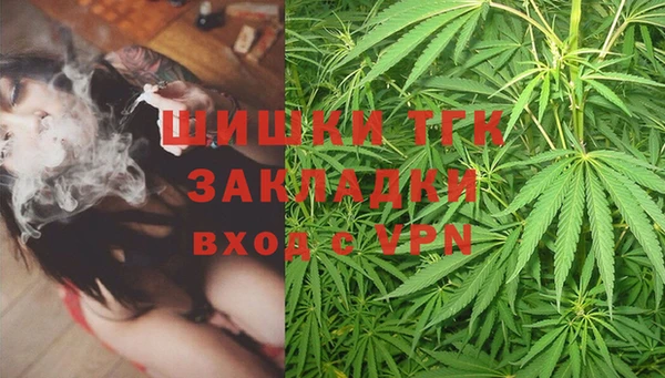 молекула духа Навашино