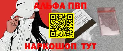 дмт Гай
