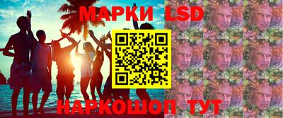 дмт Гай