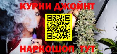 дмт Гай
