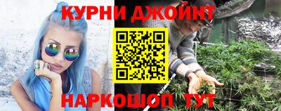 дмт Гай