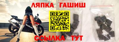 дмт Гай