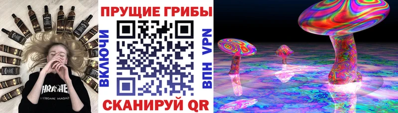 Псилоцибиновые грибы Cubensis  продажа наркотиков  кракен маркетплейс  Кинель 