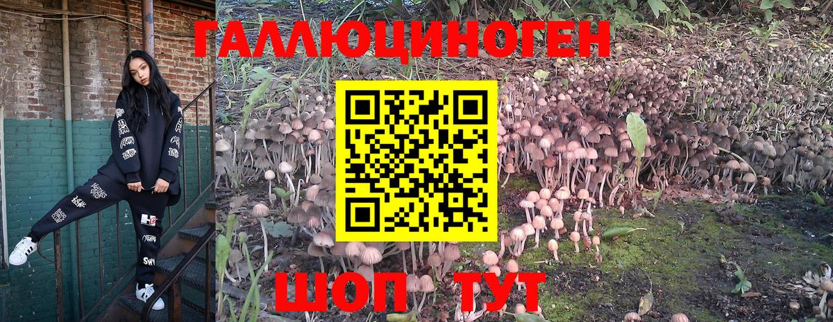 Кинель  Псилоцибиновые грибы мухоморы  Галлюциногенные грибы Magic Shrooms  Вход с VPN 